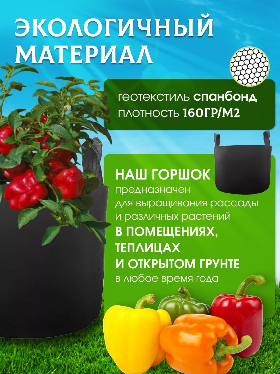 Фото 3