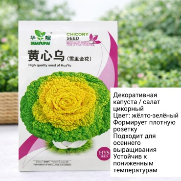 Салат Декоративная капуста/салат цикорныц