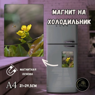 Sequoia VERS магнит-сувенир Дыхание природы. природа, леса. А4 1 шт