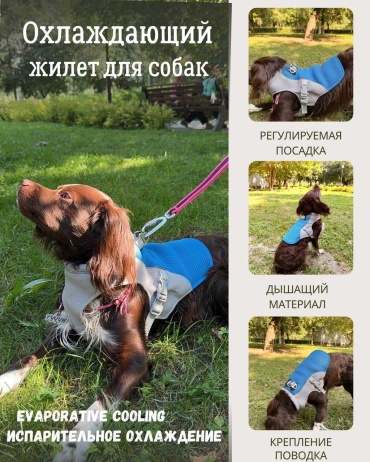 Охлаждающий жилет для собаки 2XL голубой