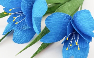 Фото 2