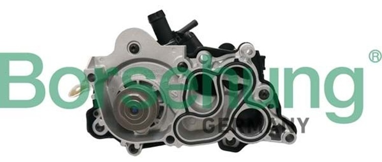 Насос Borsehung B12692