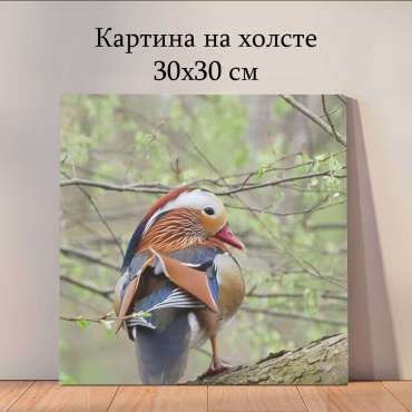 Quantum картина Животные 30x30 см