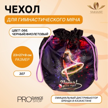 Для мяча VARIANT 25121018 черный, фиолетовый