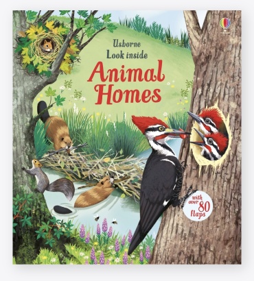 Emily Bone: Animals homes