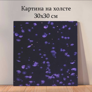 Quantum картина Животные 30x30 см