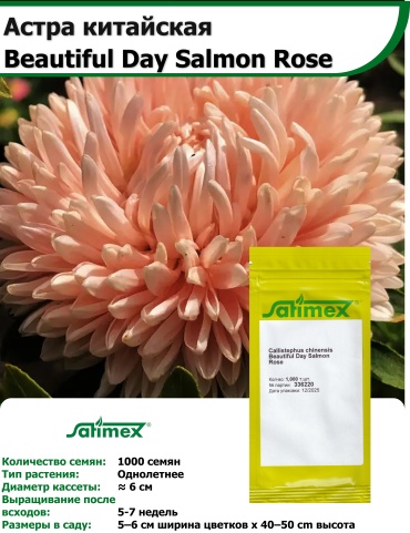 Астра Beautiful Day Salmon Rose 1000 семян Satimex