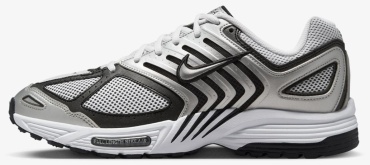 Кроссовки Nike PEGASUS 2005 белый, серебристый, черный