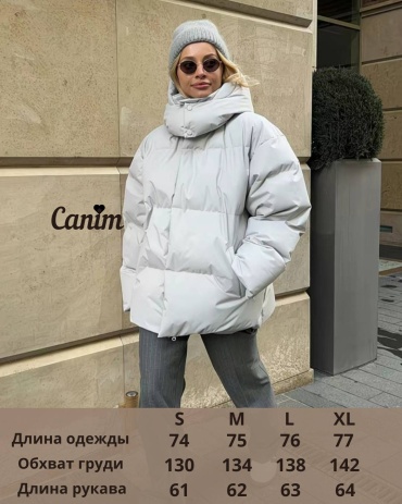Зимняя куртка серый, серебристый