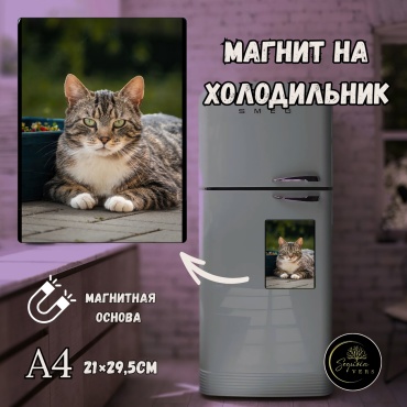 Sequoia VERS магнит-сувенир Фотомагнит на холодильник в стиле домашних животных , собака , кошка . формат А4 1 шт
