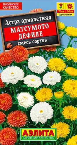 Аэлита астра матсумото дефиле