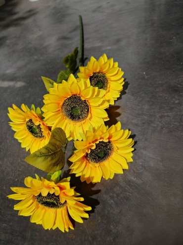 Фото 9