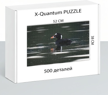 X-Quantum puzzle_2x7b3haygt классический 500 деталей