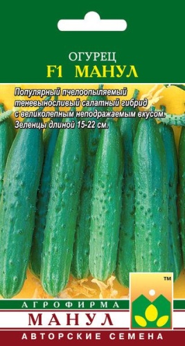 Манул огурец Огурец F1 Манул