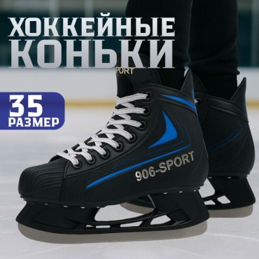 REEDAGE Коньки RDH хоккейные черный, синий