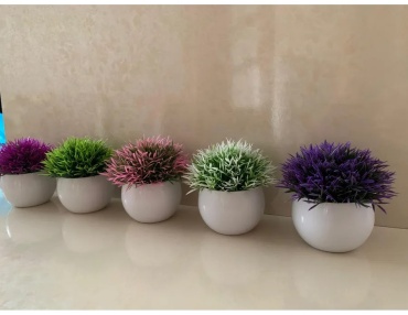 Фото 3