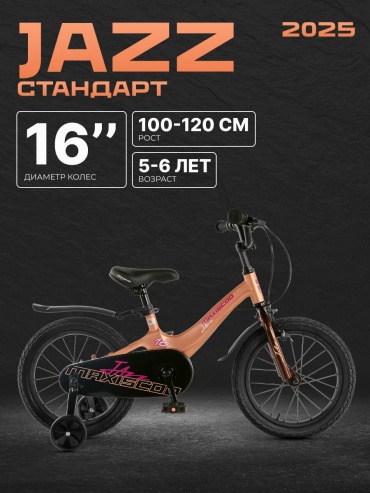 Велосипед MAXISCOO JAZZ Стандарт Плюс 16'' (2025) MSC-J1641 2025 9 дюймов мультиколор