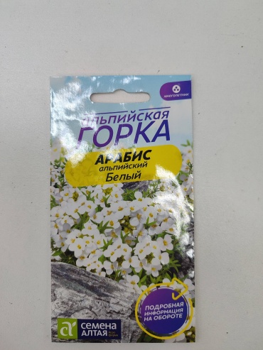 Семена Алтая арабис Альбис