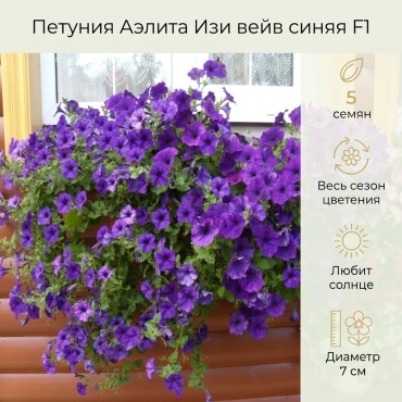 Аэлита петуния Изи вейв синяя F1