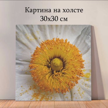 Quantum картина растения и цветы_q6q 30x30 см