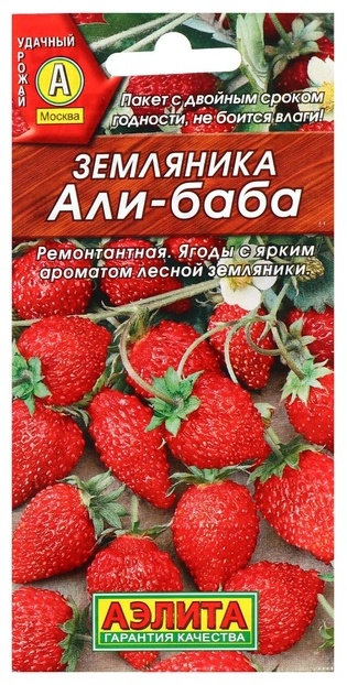 Аэлита земляника «Али Баба»