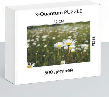 X-Quantum puzzle_l9oy9upd5m классический 500 деталей