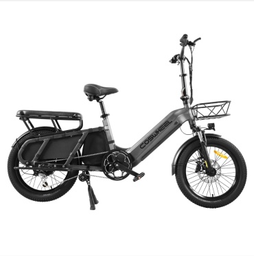 Coswheel HQ20 20 дюйм 2025 6.5 дюймов серый