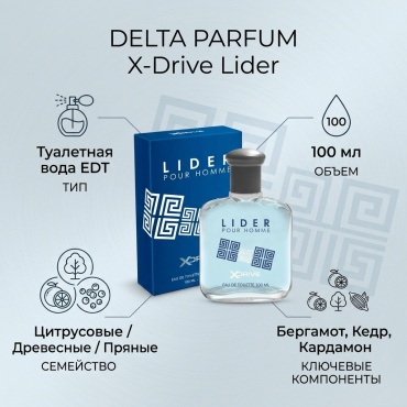 DELTA PARFUM X-Drive Lider туалетная вода EDT 100 мл, для мужчин