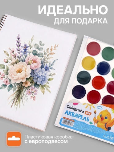 Краски акварельные мультиколор 24 шт 20 мл