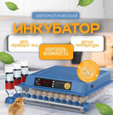 Fermer estd 1995 инкубатор, вместимость: 64 шт, прозрачный