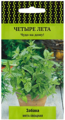 Поиск мята Забава
