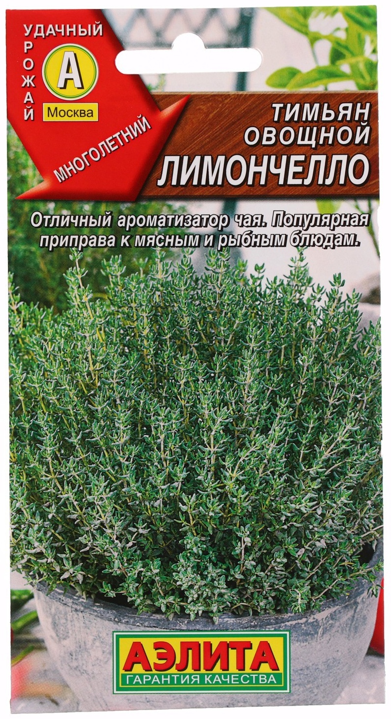 Аэлита Агро тимьян Лимончелло