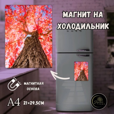Sequoia VERS магнит-сувенир Дыхание природы. природа, леса. А4 1 шт