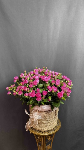 Фото 2