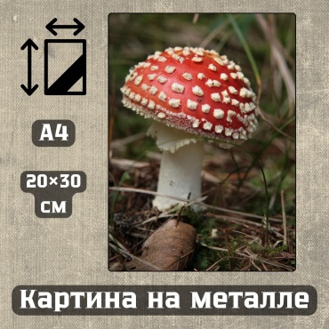Sequoia VERS картина Картина на металле а4 Дыхание природы 20*30см 20x30 см