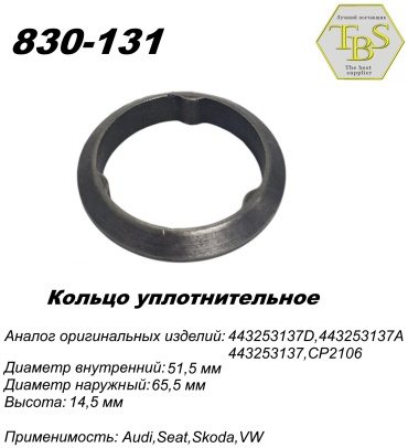 TBS кольцо глушителя 830-131