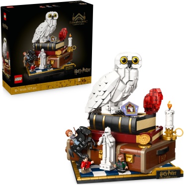 Конструктор LEGO Harry Potter 76466, деталей 1571 шт