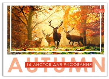 Альбом Magister 105796 A4 16 листов