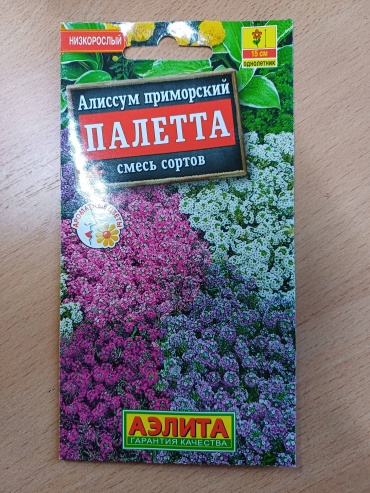 Аэлита алиссум Палетта