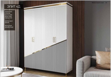 Распашной шкаф Rich Home Элит, 180x230х50 см, серый, белый