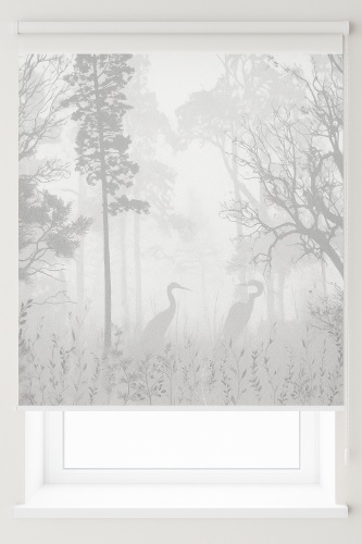 Roll Print Роллшторы с фотопечатью белый 155x175 см