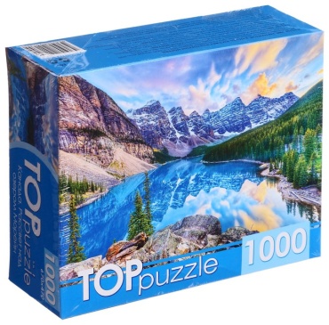 РЫЖИЙ КОТ ХТП1000-4135 классический 1000 деталей