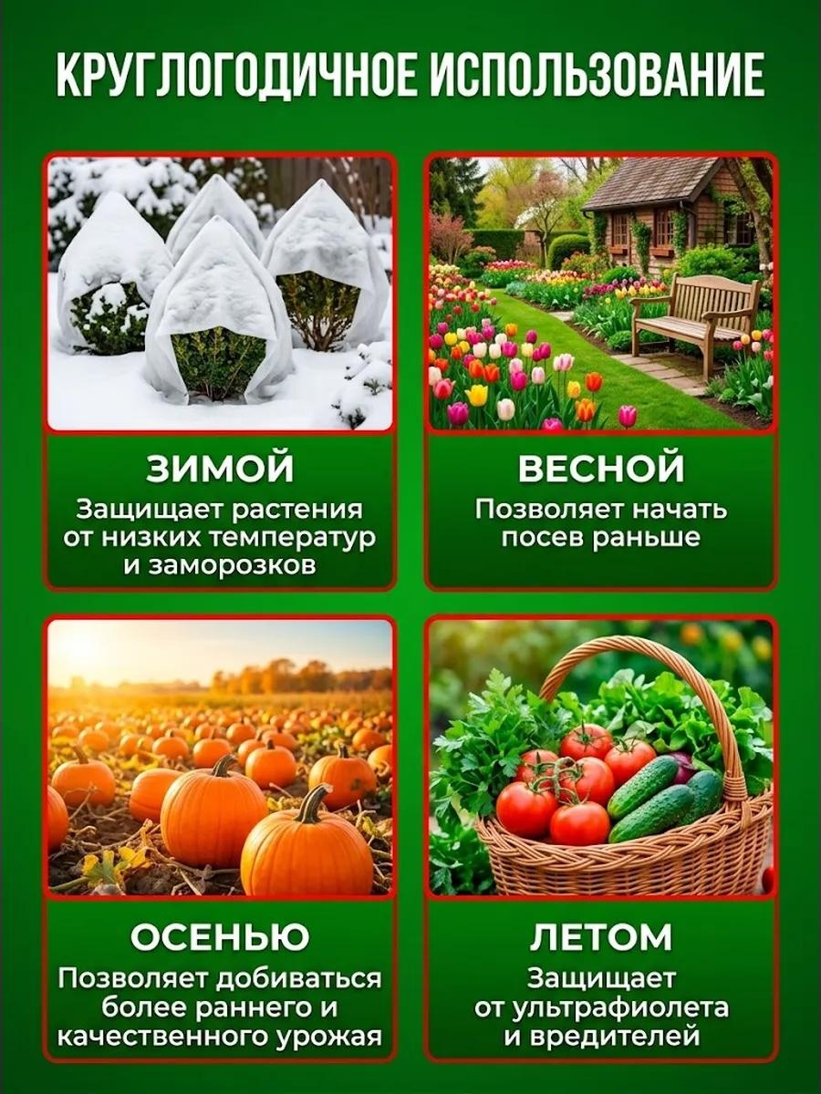 Фото 3