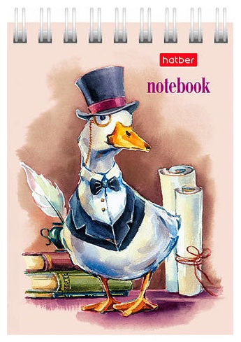 Блокнот Hatber Gussi, A7, 40 л, мультиколор