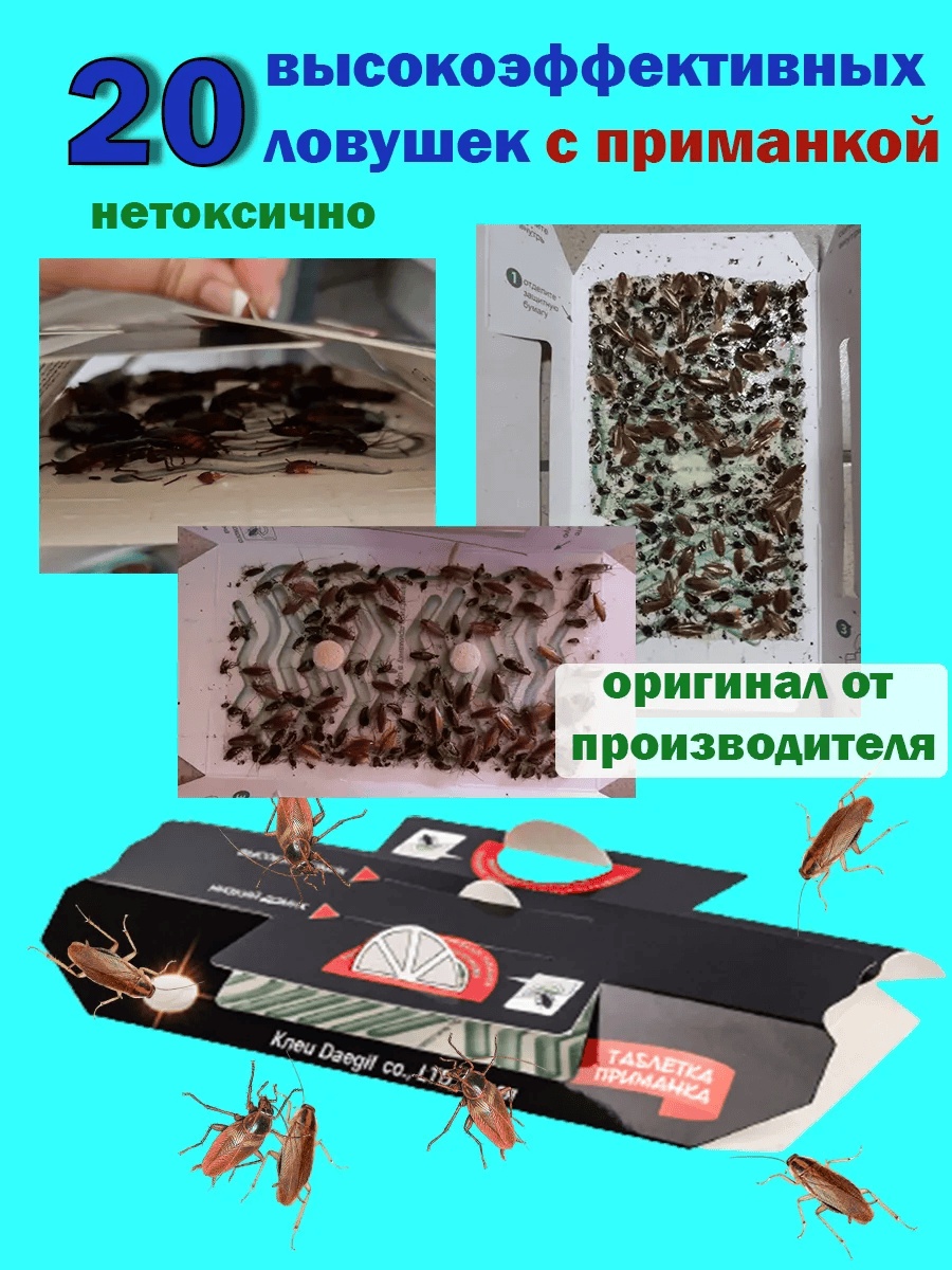 Ловушка 304526905