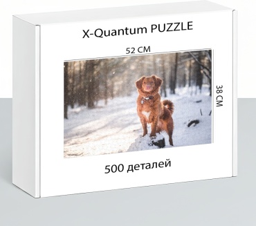 X-Quantum puzzle_nuhsd84etf классический 500 деталей