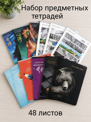 Набор предметных тетрадей Проф-Пресс Ассорти набор №4, 48 л, А5, клетка, мягкая обложка, 11 шт