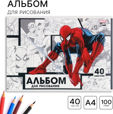 Альбом ArtFox АФС-10248902 A4 40 листов