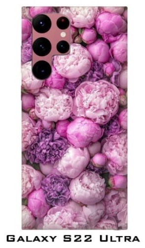 Чехол для Samsung Galaxy S22 Ultra рисунок