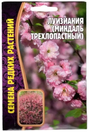 Лизимахия Луизеания Трехлопастная( миндаль)